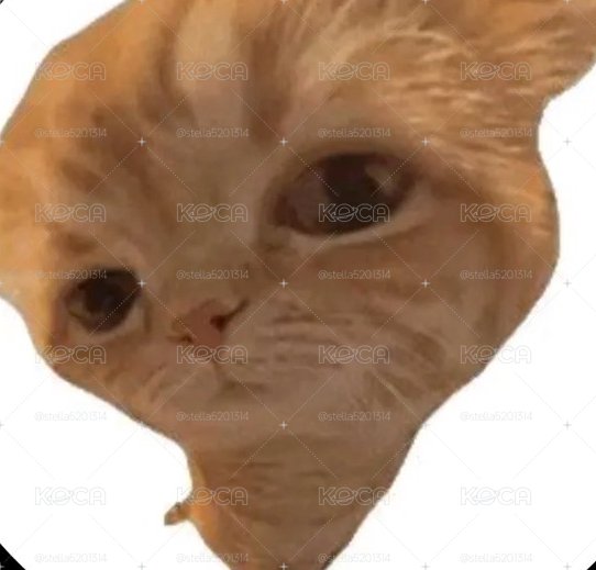 專