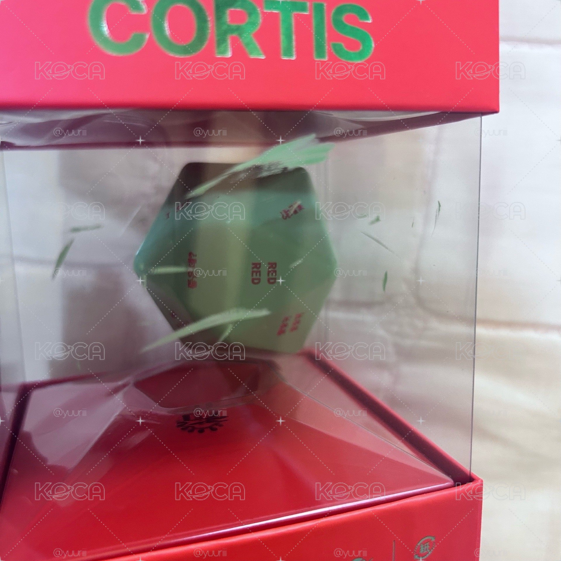 cortis大盤