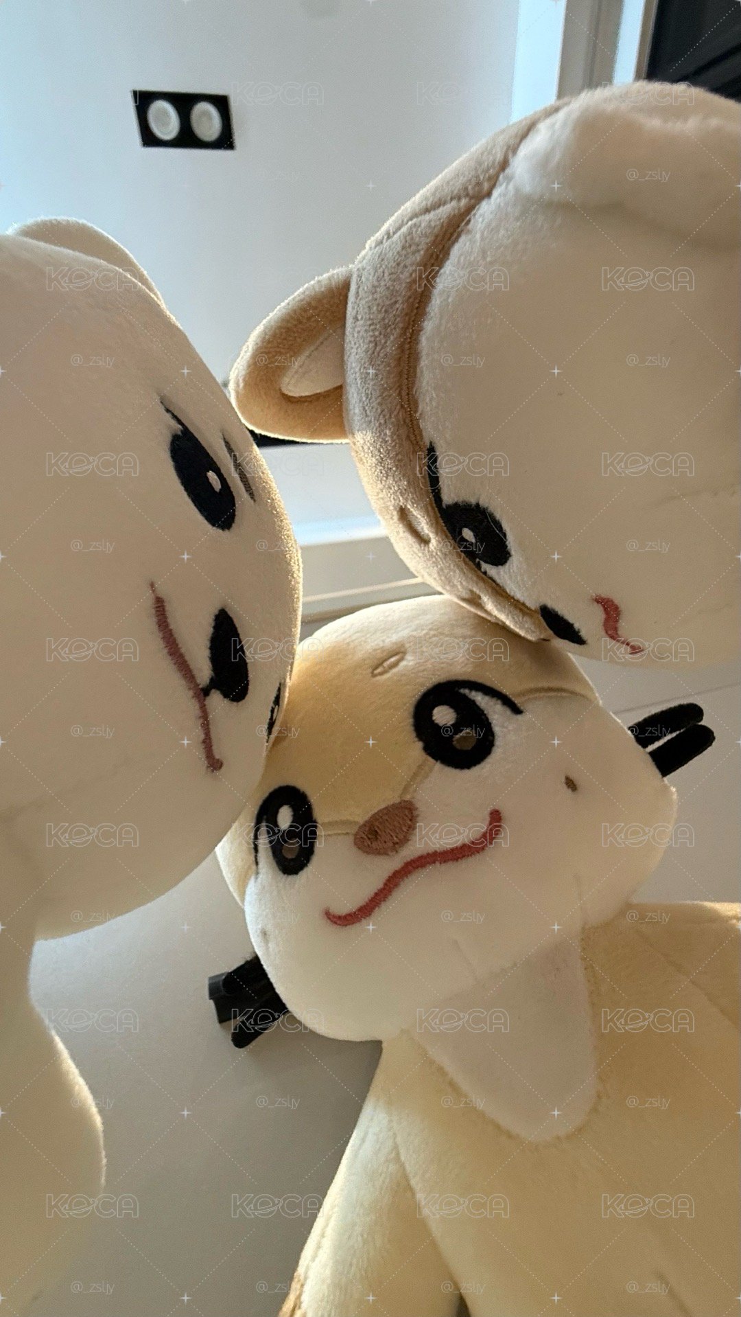 🐻‍❄️🐾🦦大娃