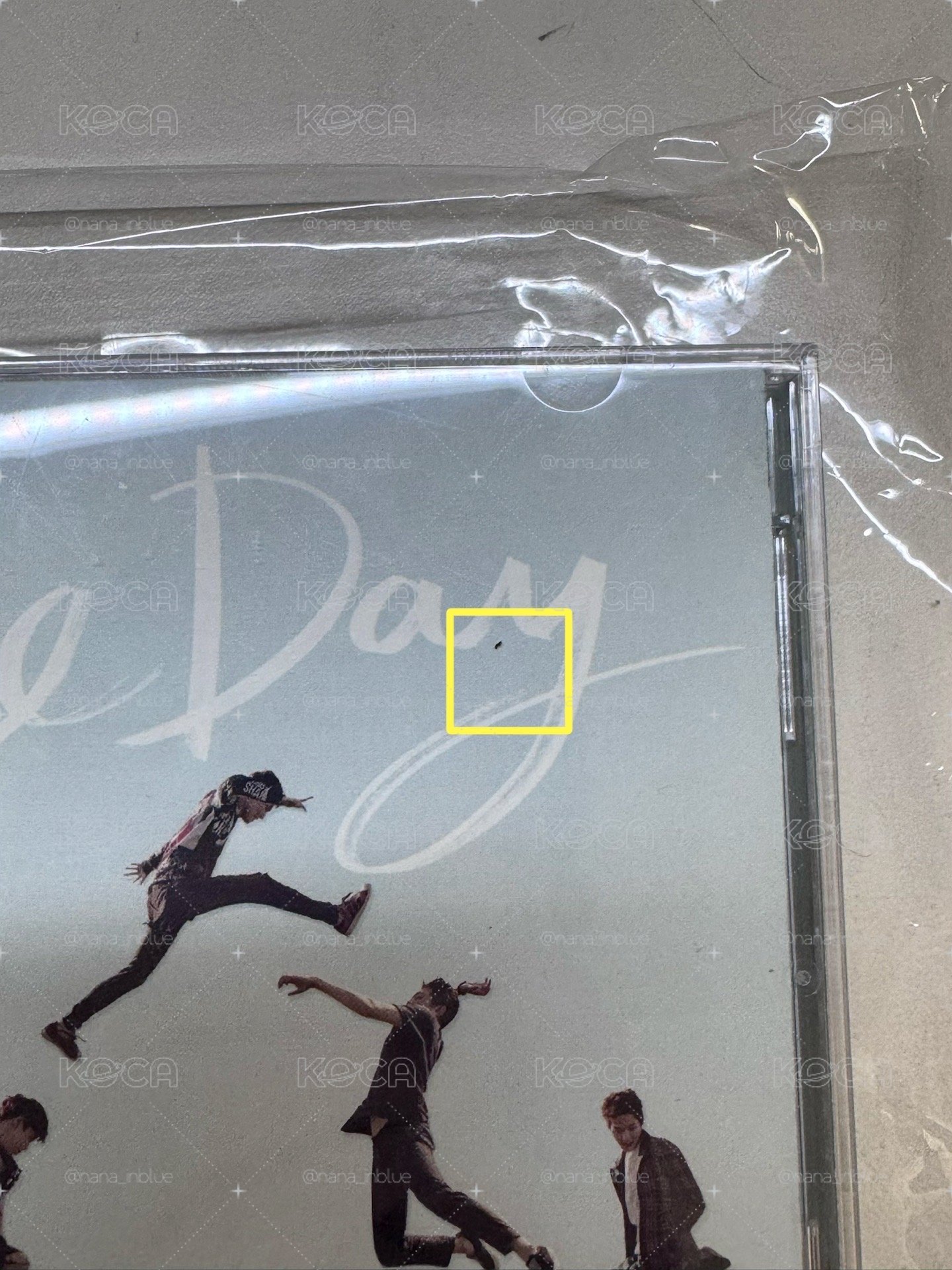 the day台壓「Congratulations了不起的你」