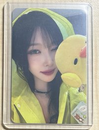 右上小雞