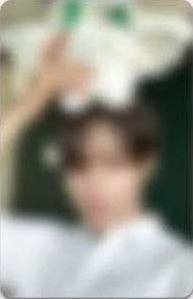 迷二 ms 蝙蝠玩偶 簽售卡 