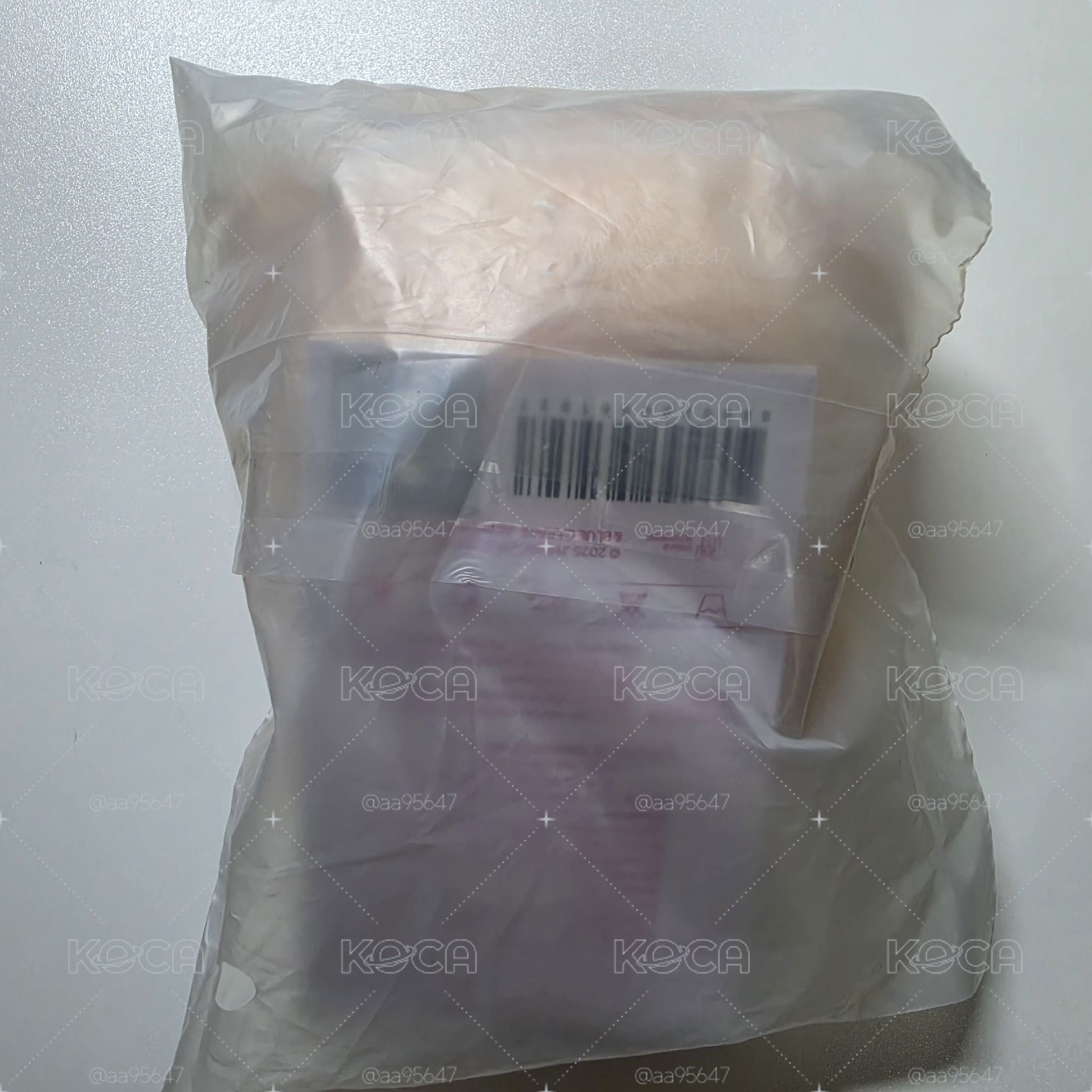 五期飯咪 帕皮十公分娃