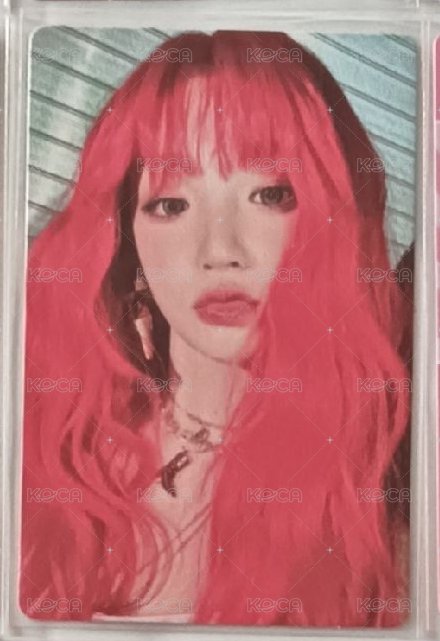 YUQ1 專輯卡 紅版