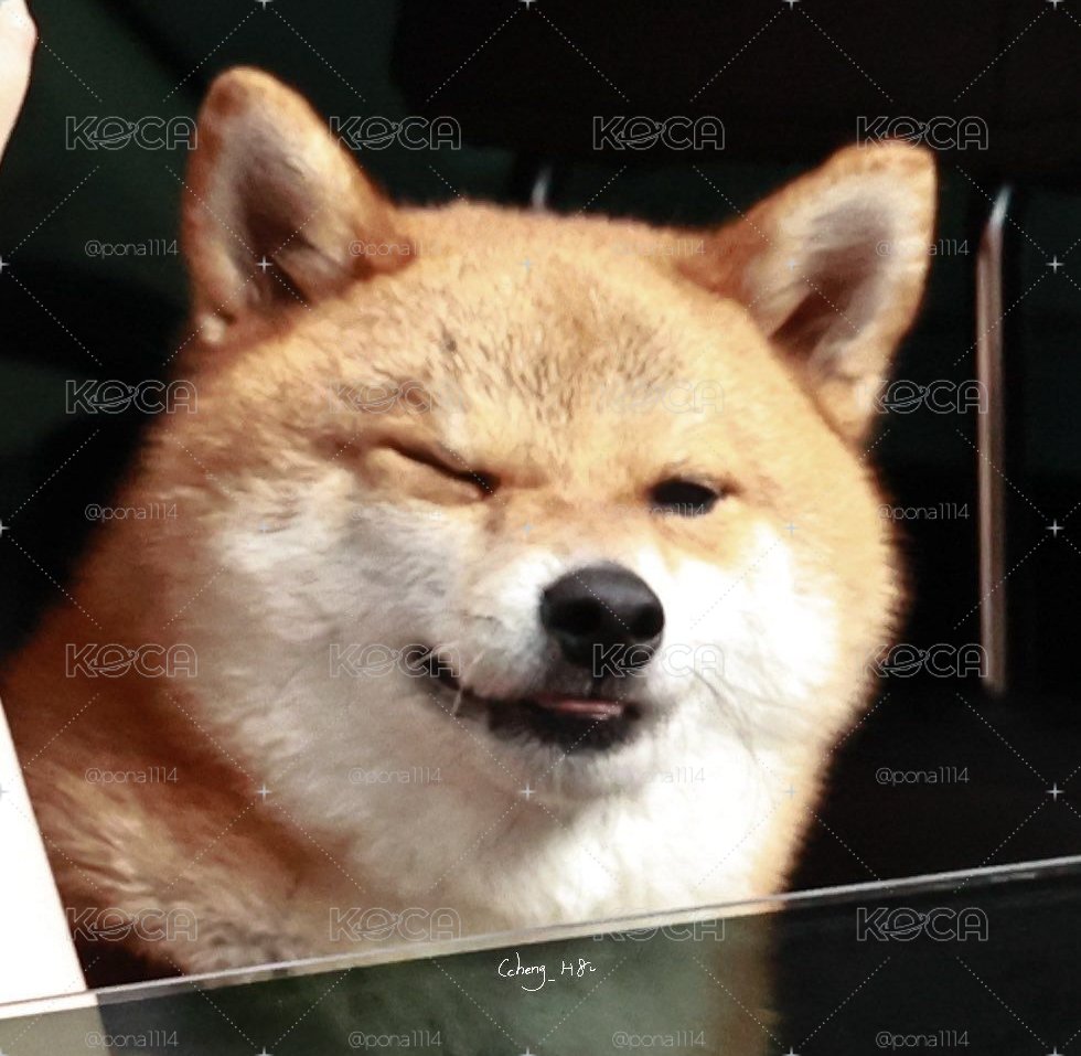 二補賣場