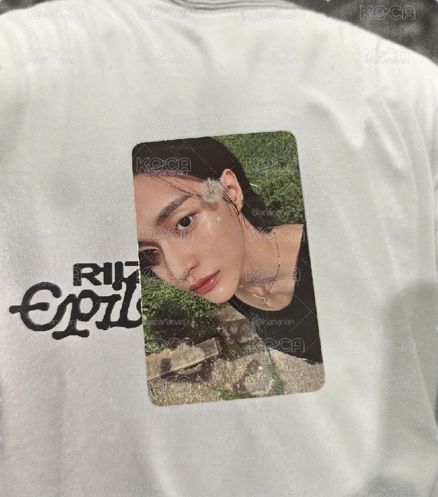 蒲公英彬直出