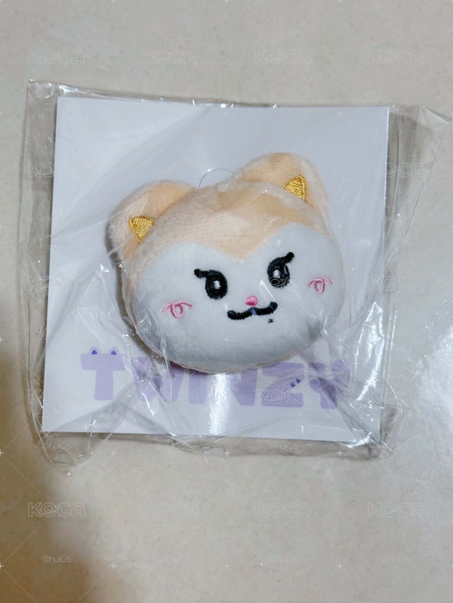 李彩領大頭毛絨徽章 全新