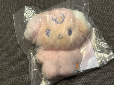 超可愛 異色潤 臉超甜 送睡衣潤特典