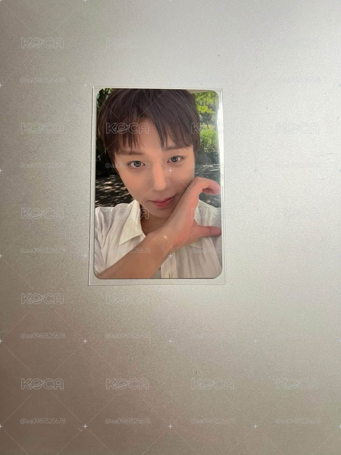 朴志訓FORMENT代言卡