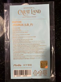 洪知秀刺繡貼