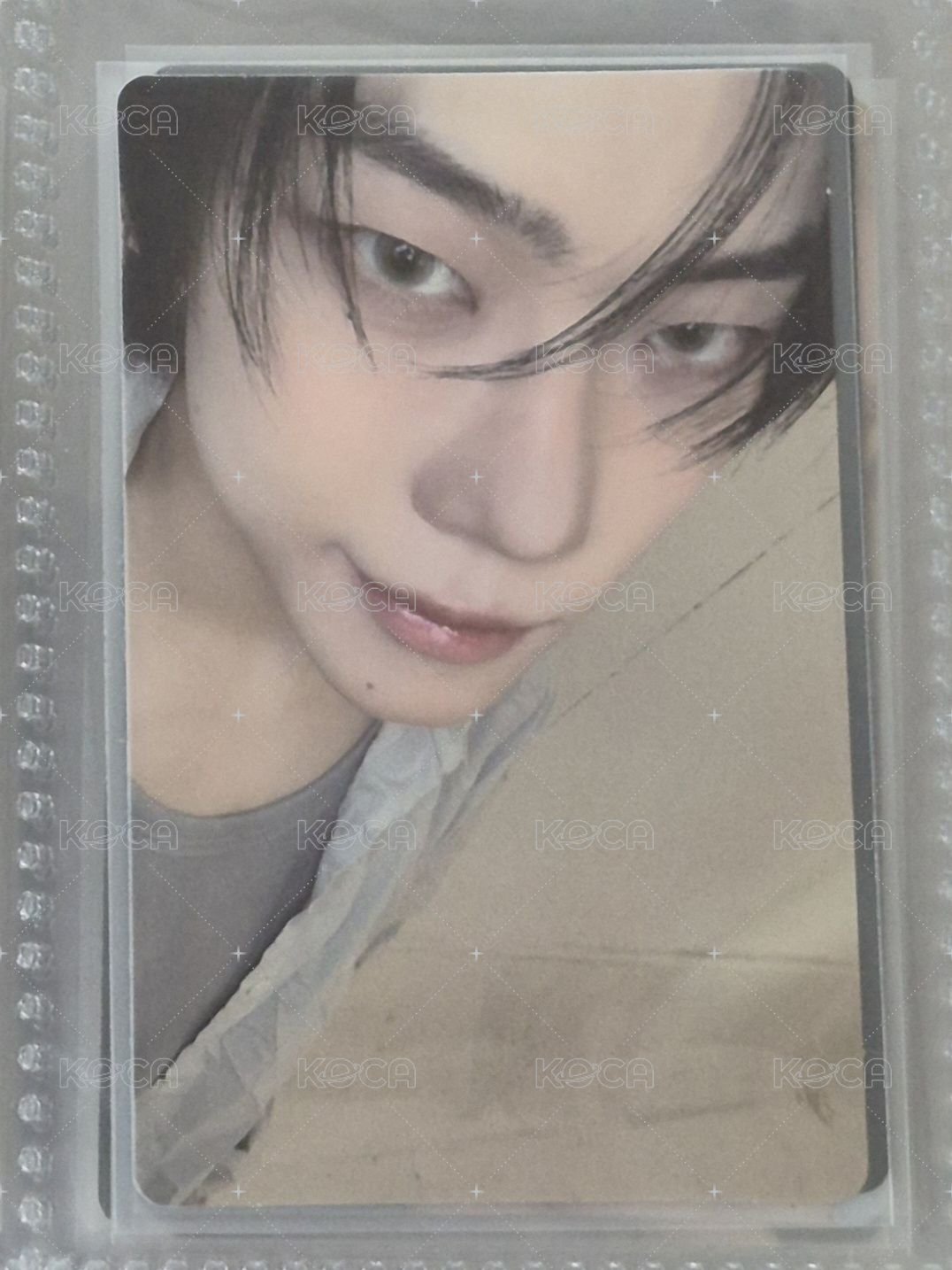 🦊懟臉