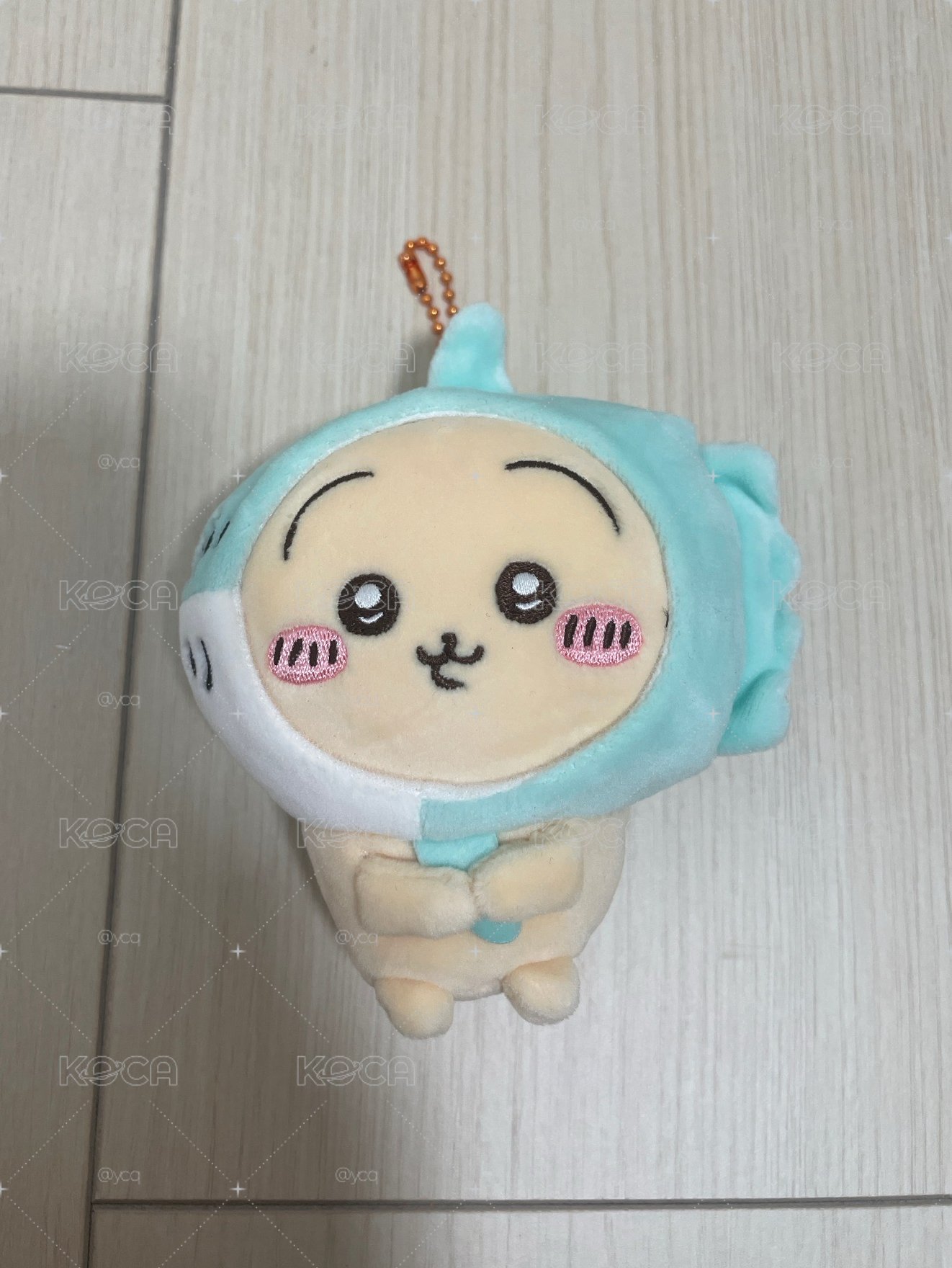 翻車魚兔兔