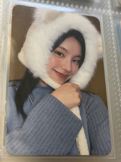 狐狸志