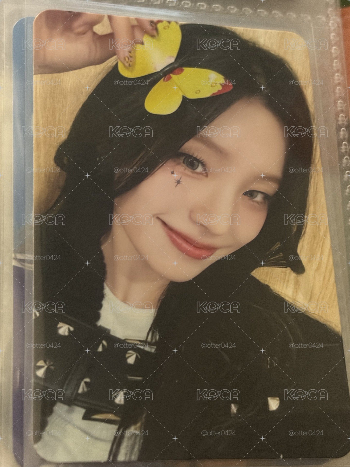 蝴蝶志