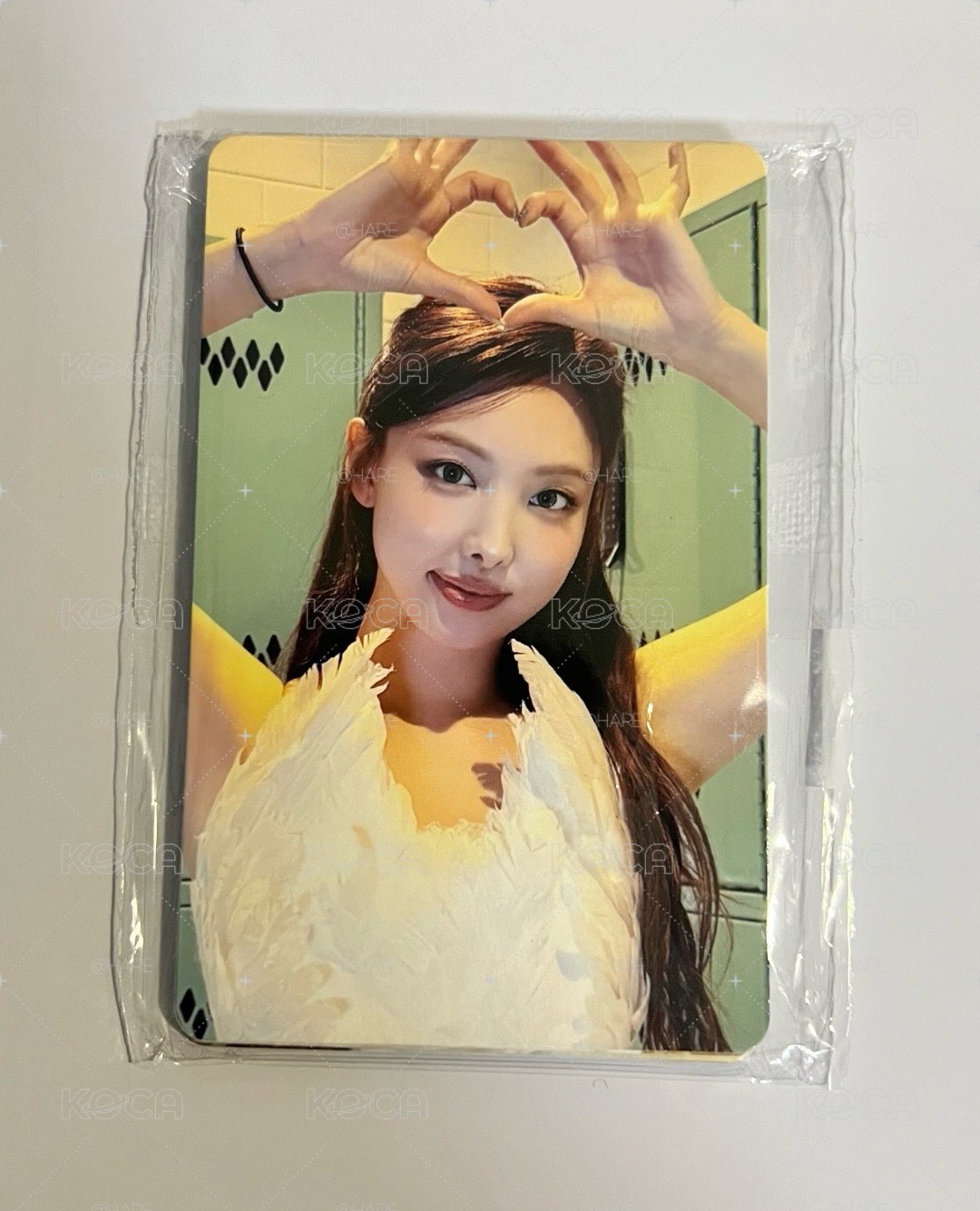仁川DVD Fans特典一套未拆