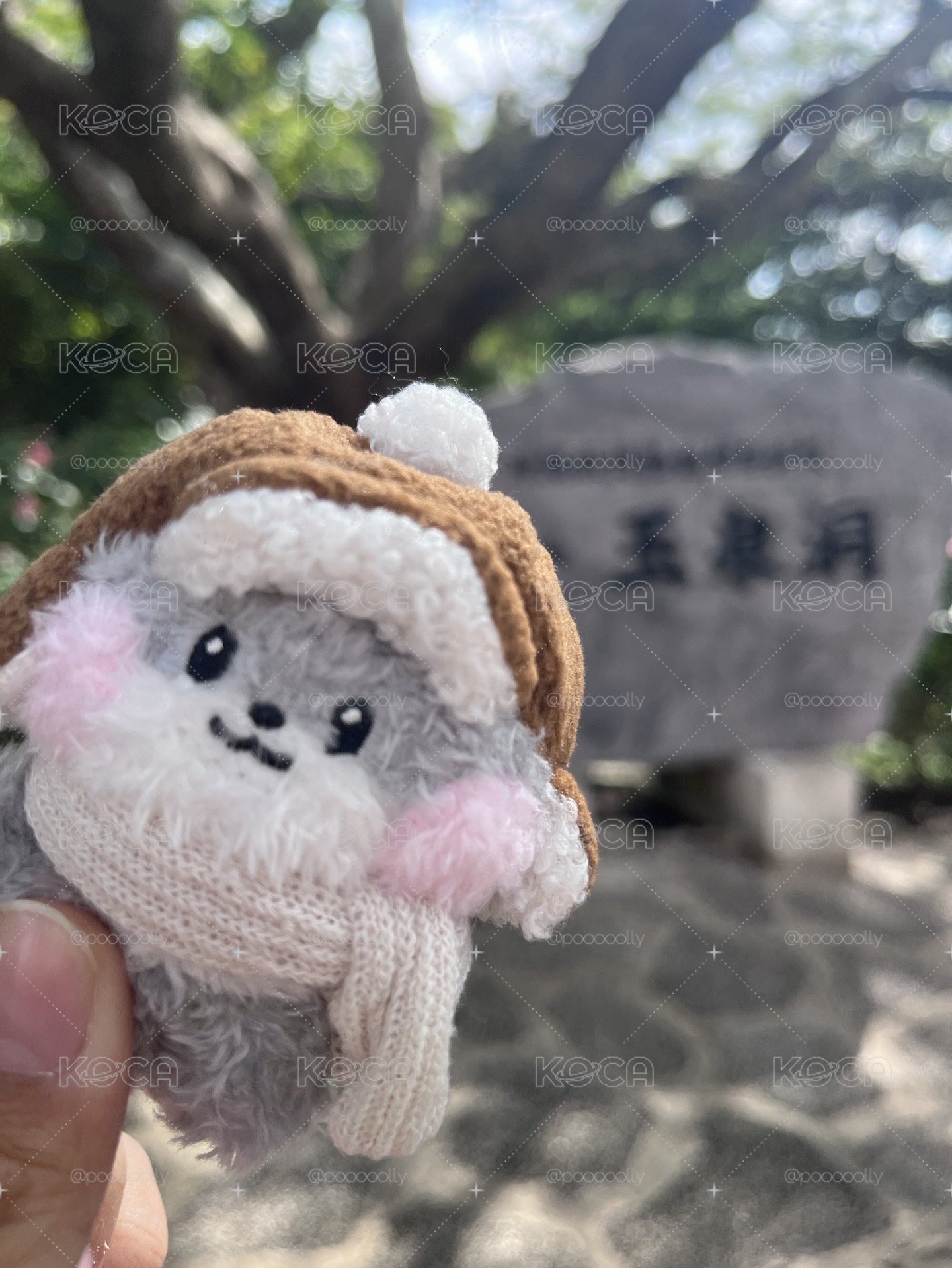 冬日旭