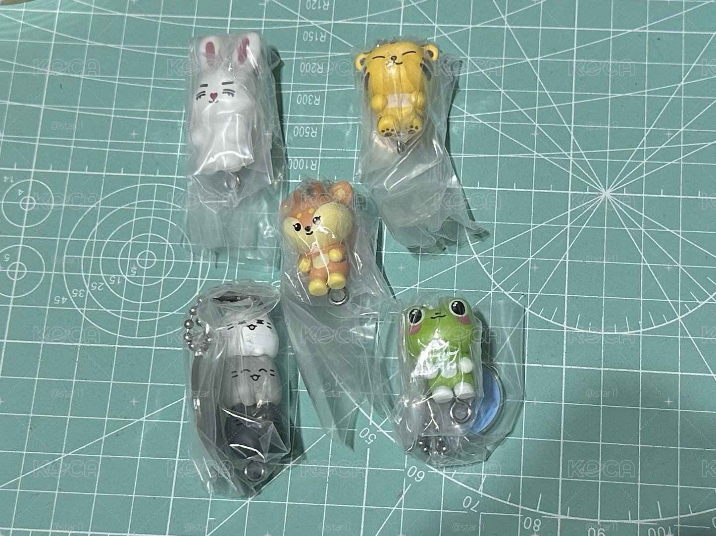 miniteen 萬代扭蛋 喆秀俊榮八 （保留）