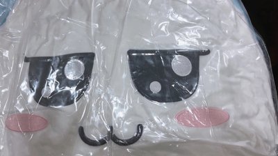 賢抱枕現貨（本體1200）