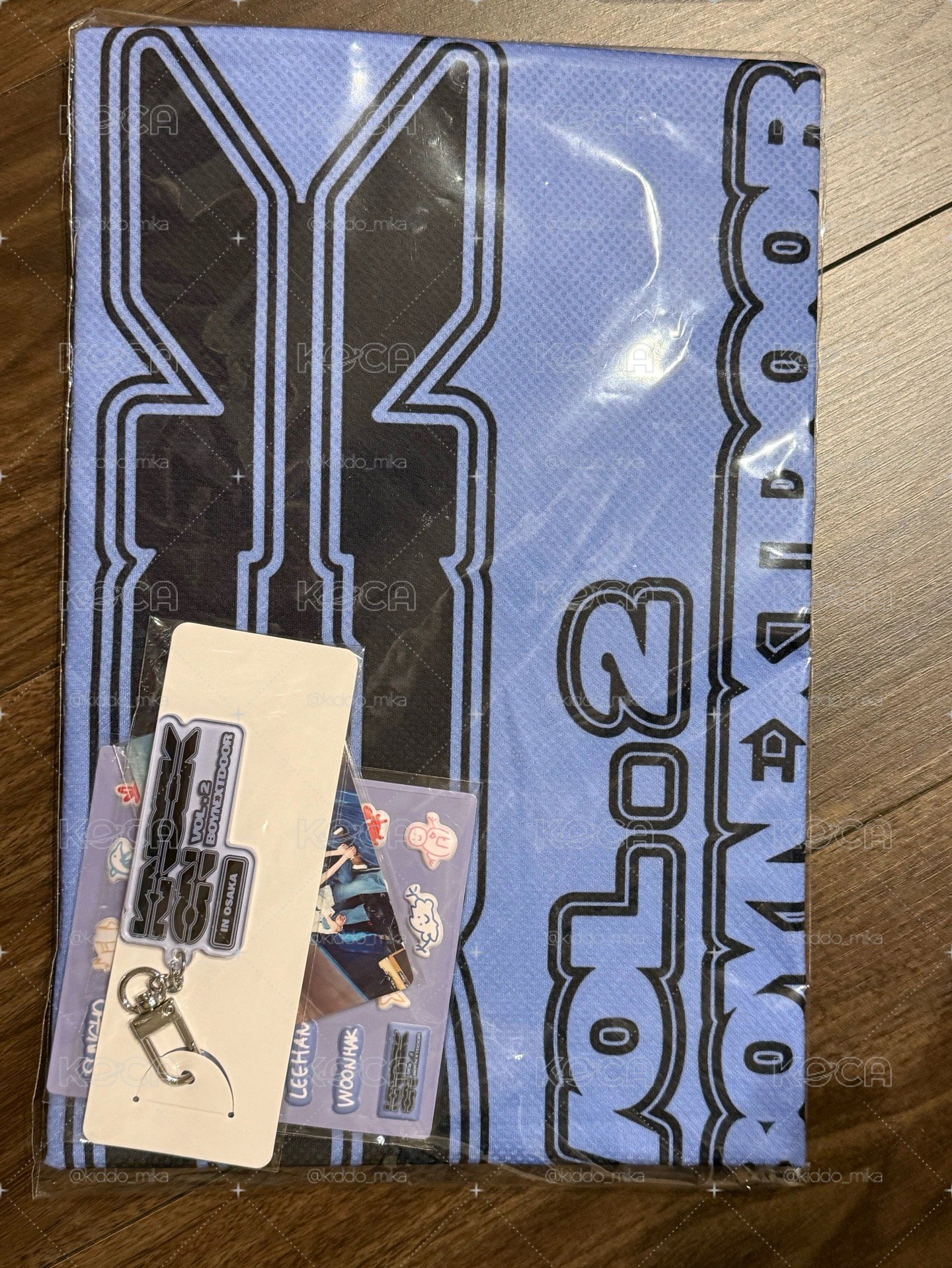 日巡 P席禮