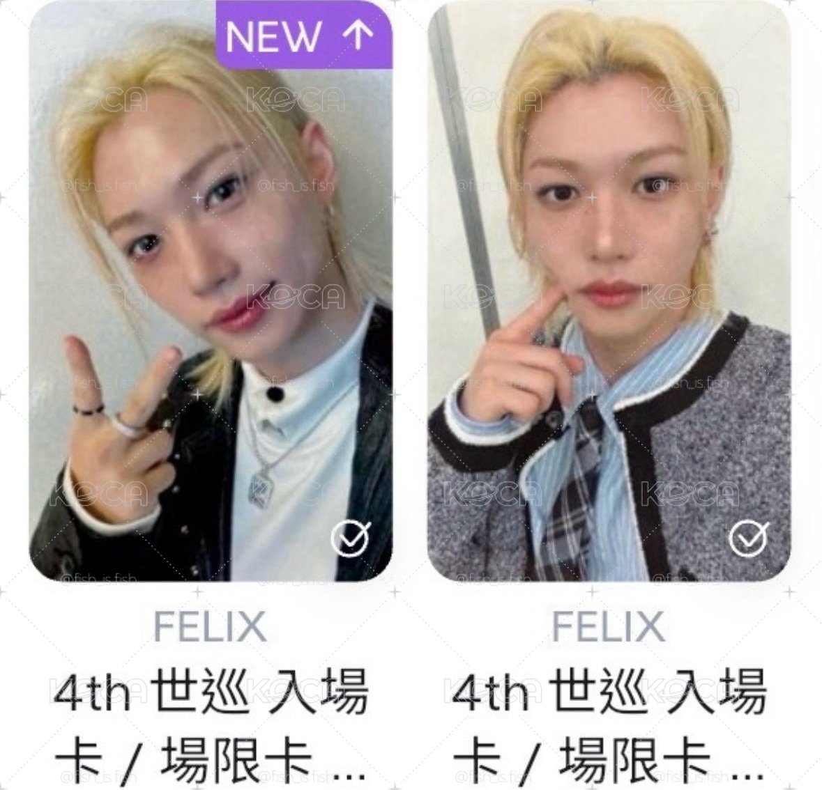 菲🐥小盤