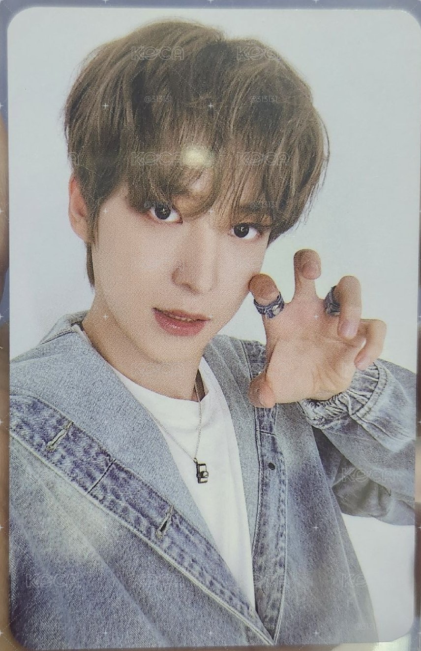 小狗咪汪汪