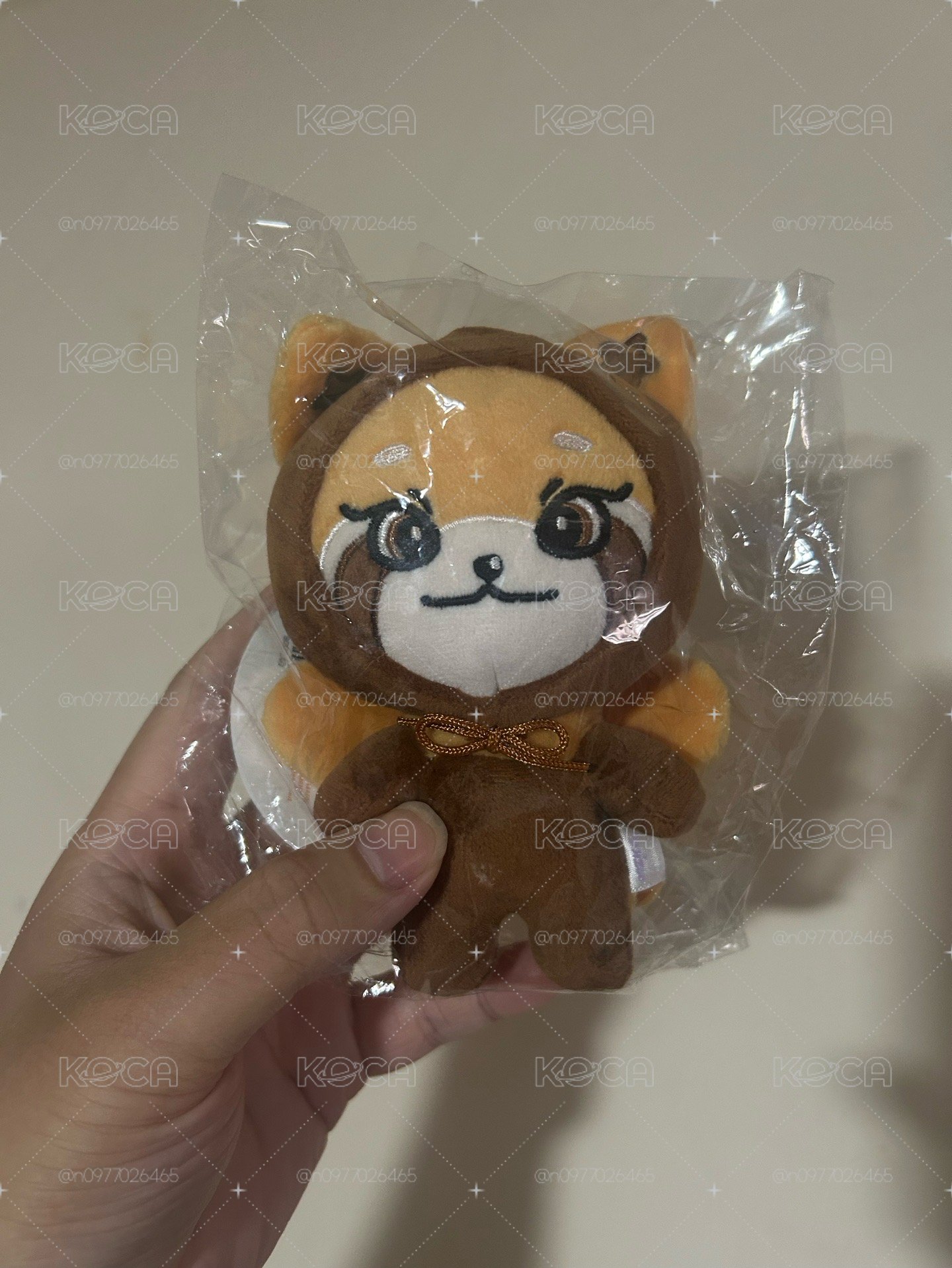 智小娃直出不綁