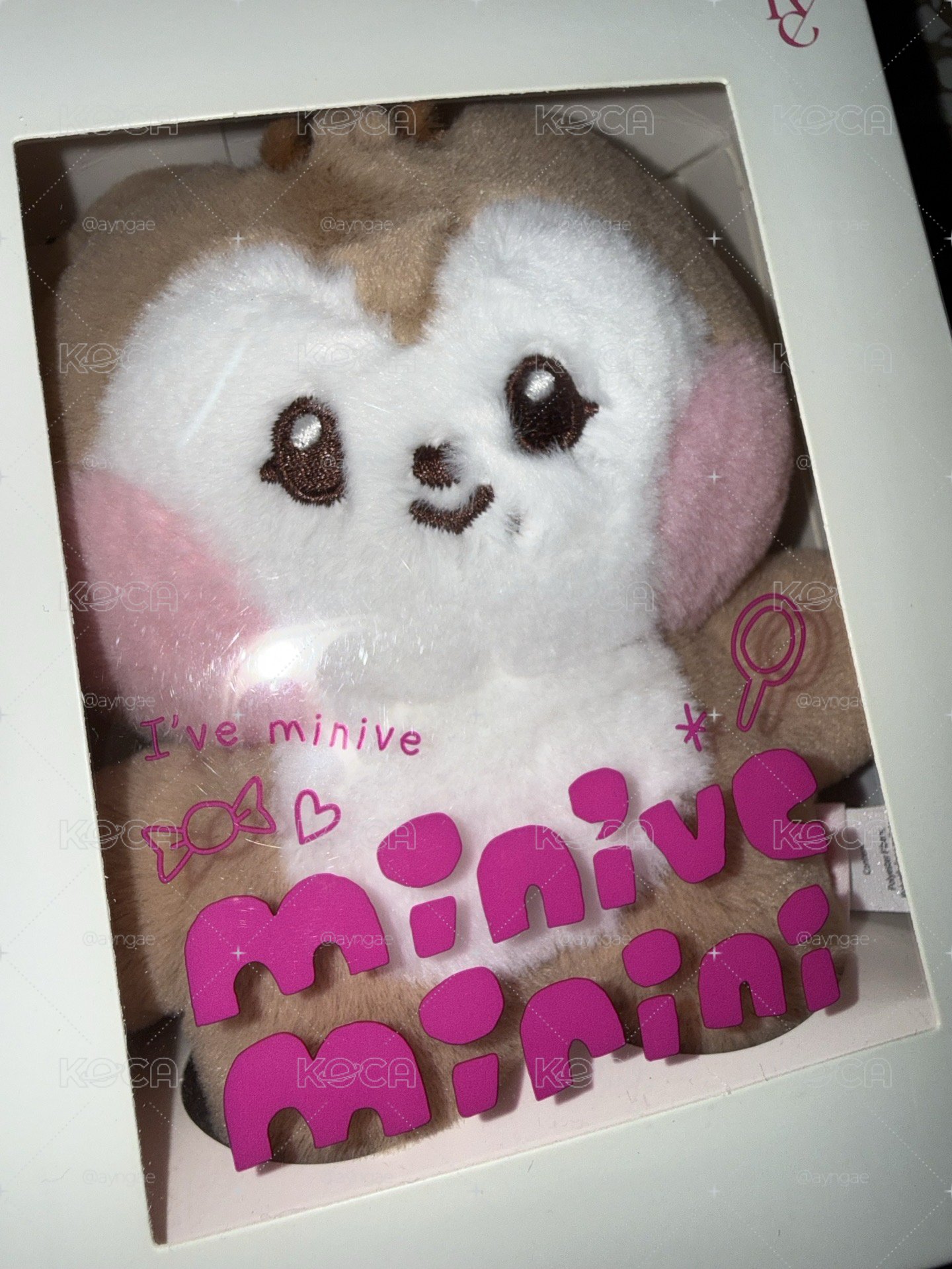 LINE FRIEND 校園娃