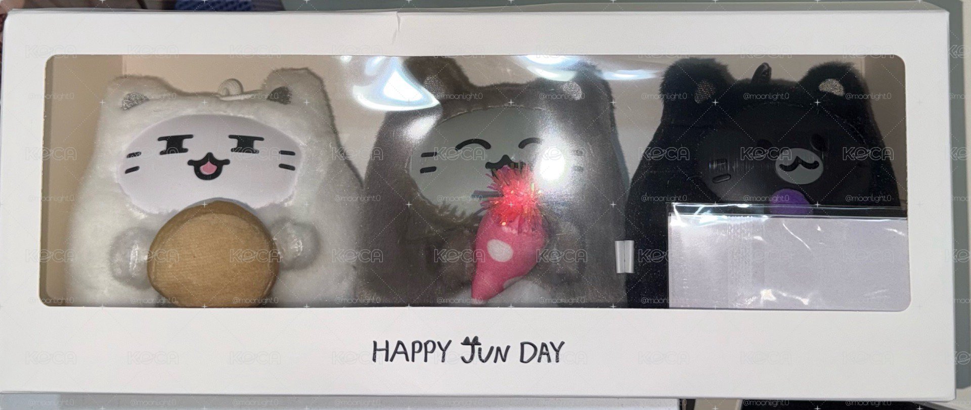 俊尼生日禮盒