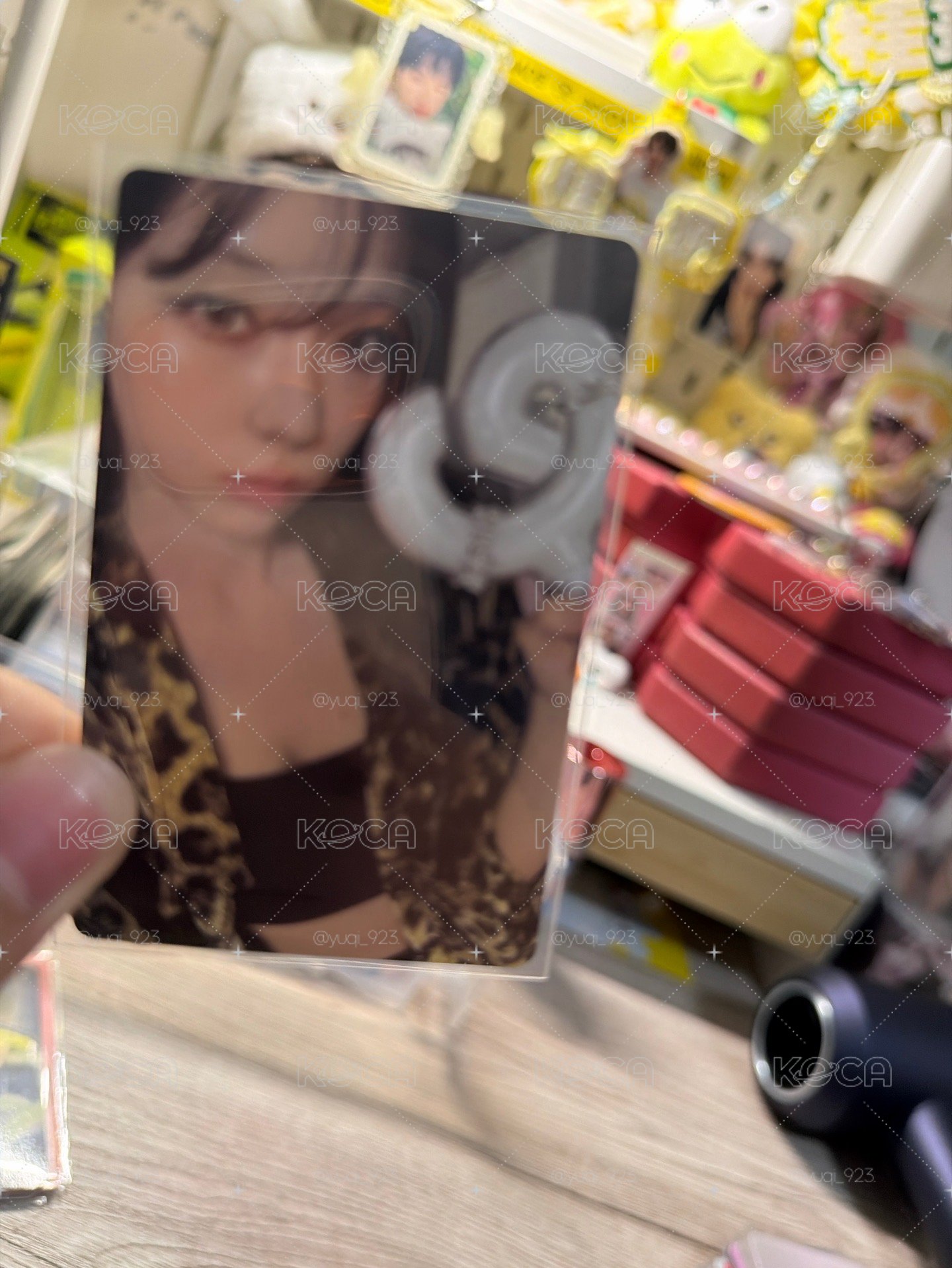 冬天小盤