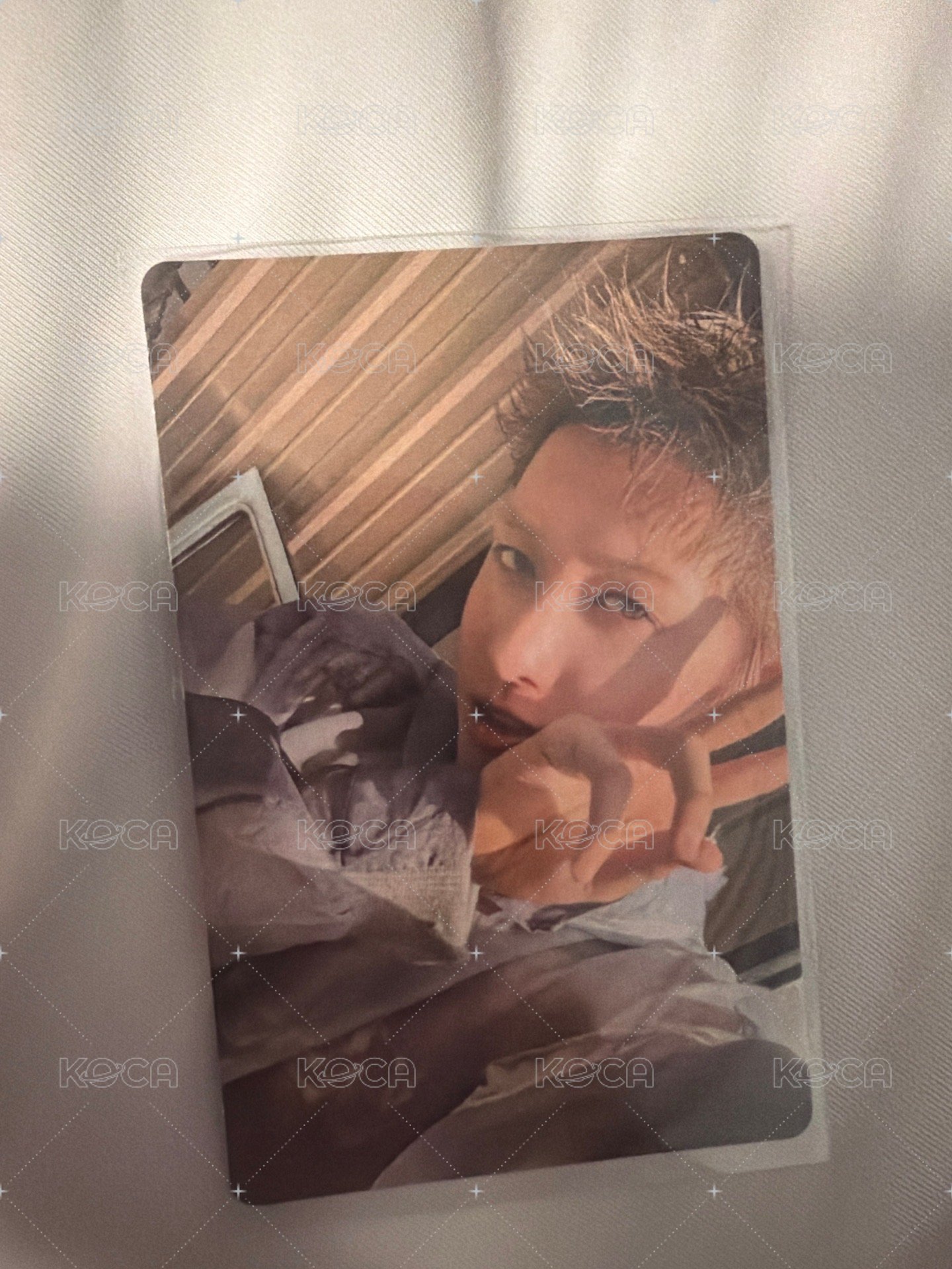 迷一專輯卡馬丁