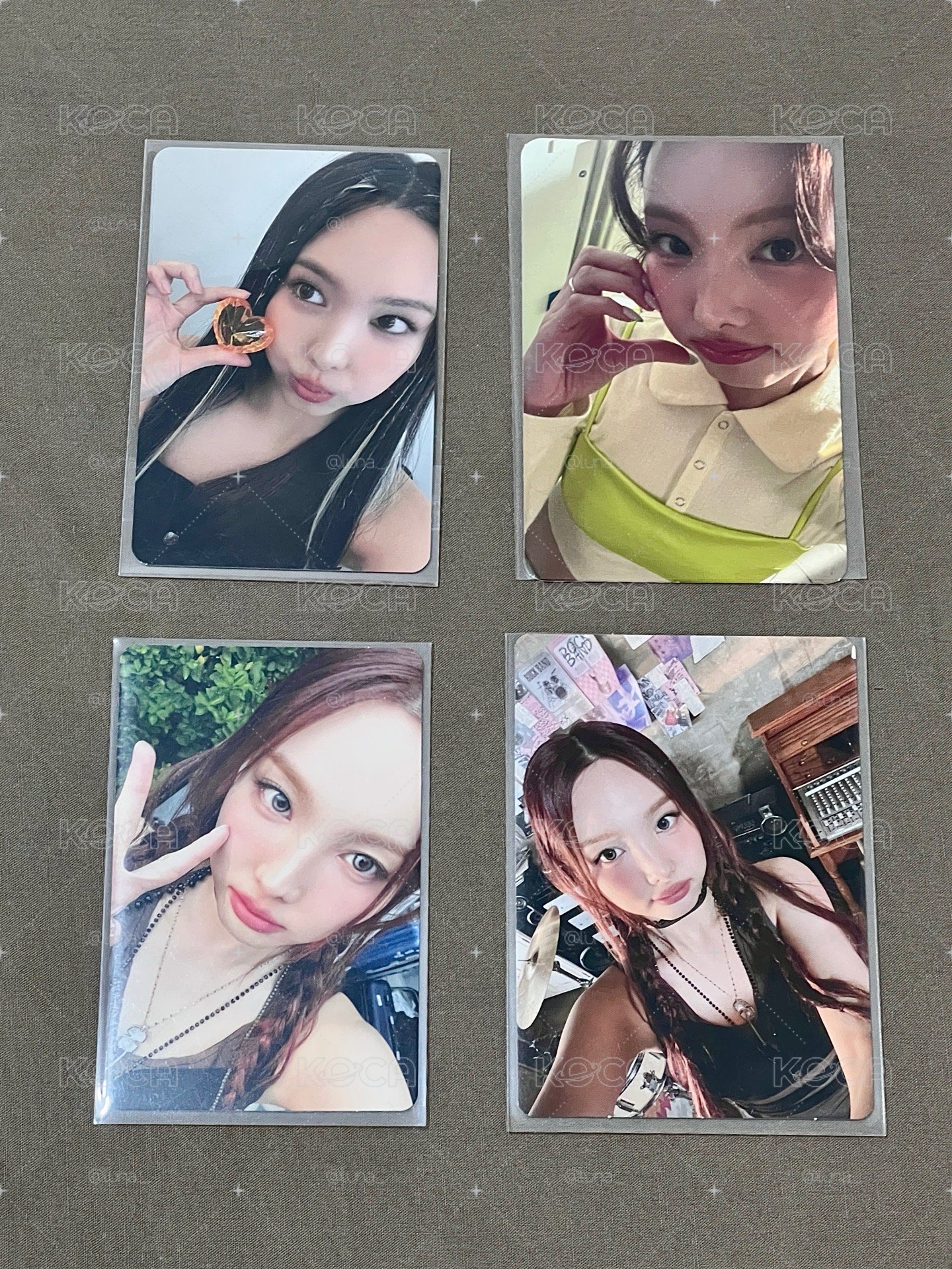 🐰娜璉專區