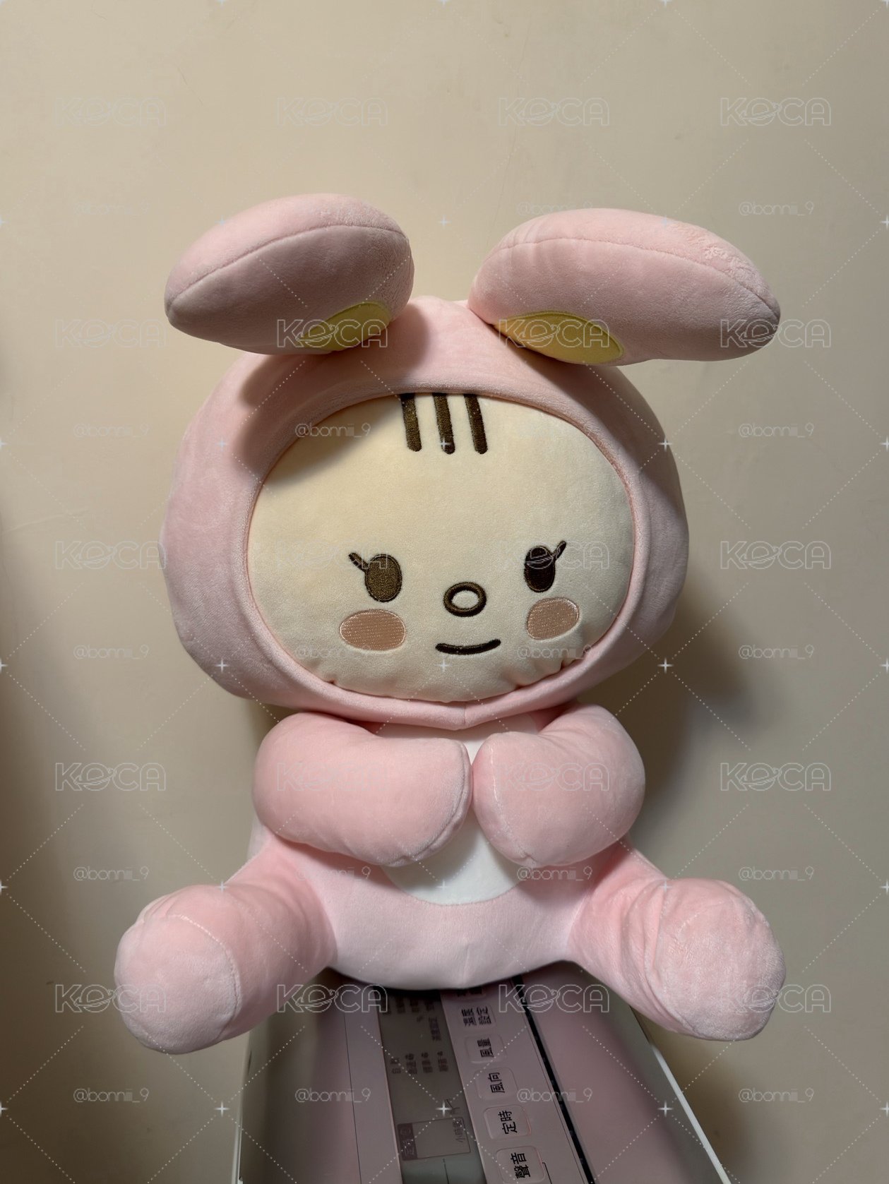 成員自製 淨兔鼠 