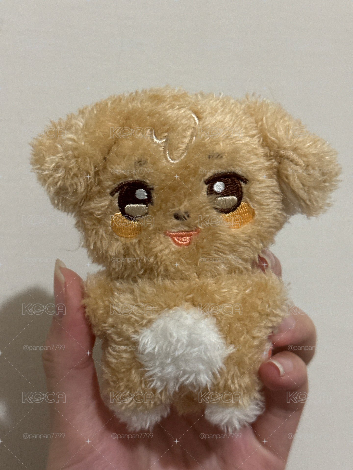 ANITEEZ 潦草潤