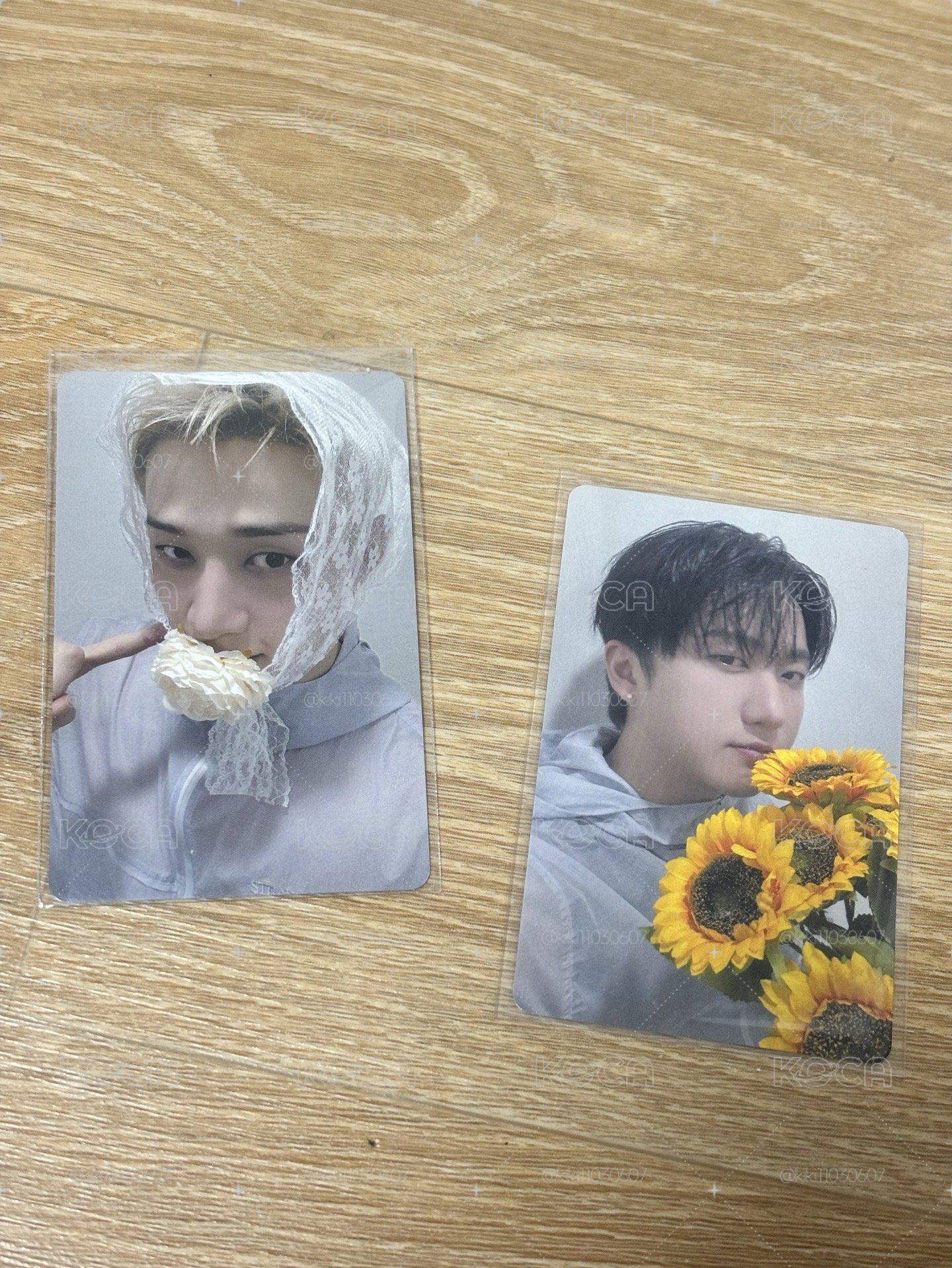 Straykids 東京場限、名古屋場限