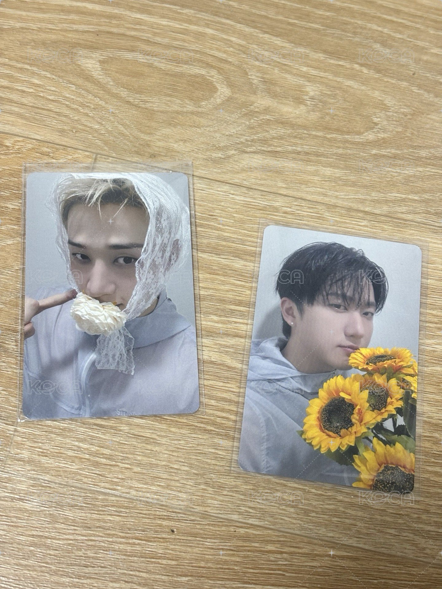 8/30東京燦