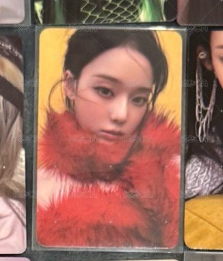 rm紅衣專卡冬