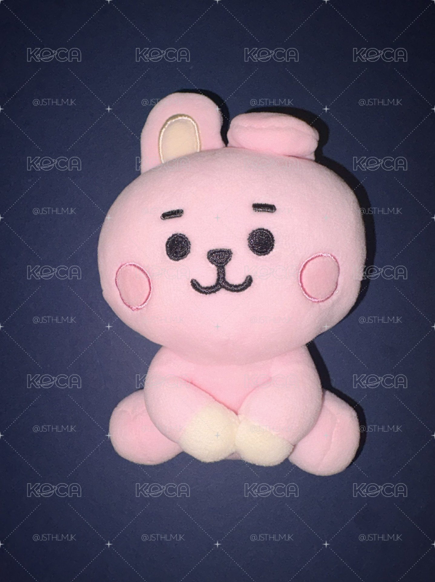BTS BT21 COOKY S娃 