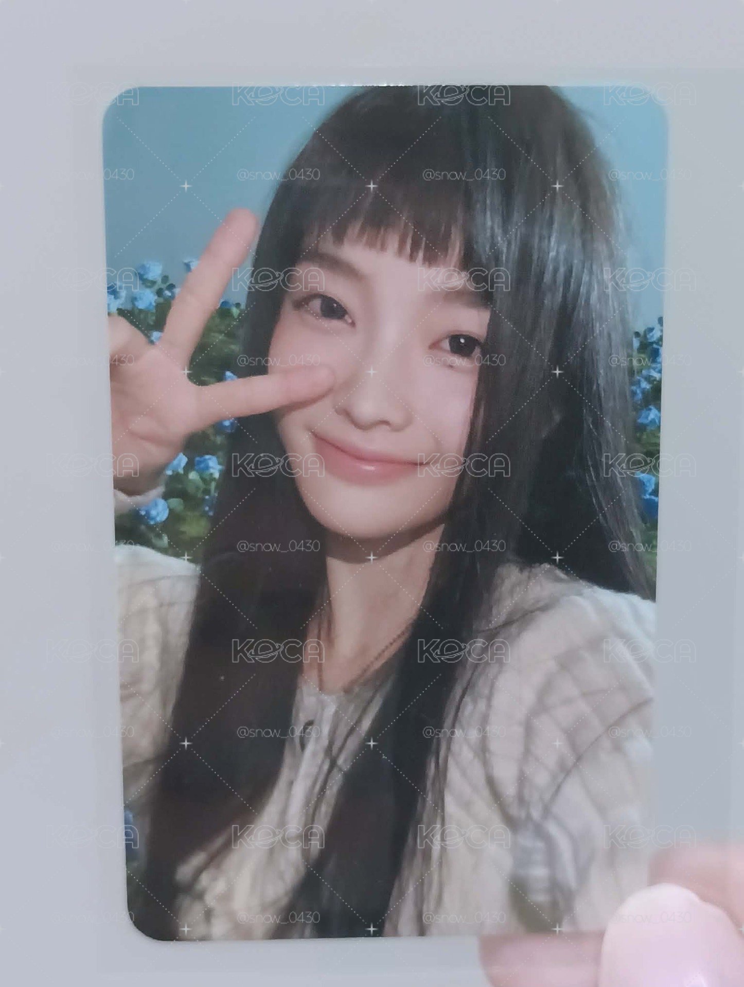 哈