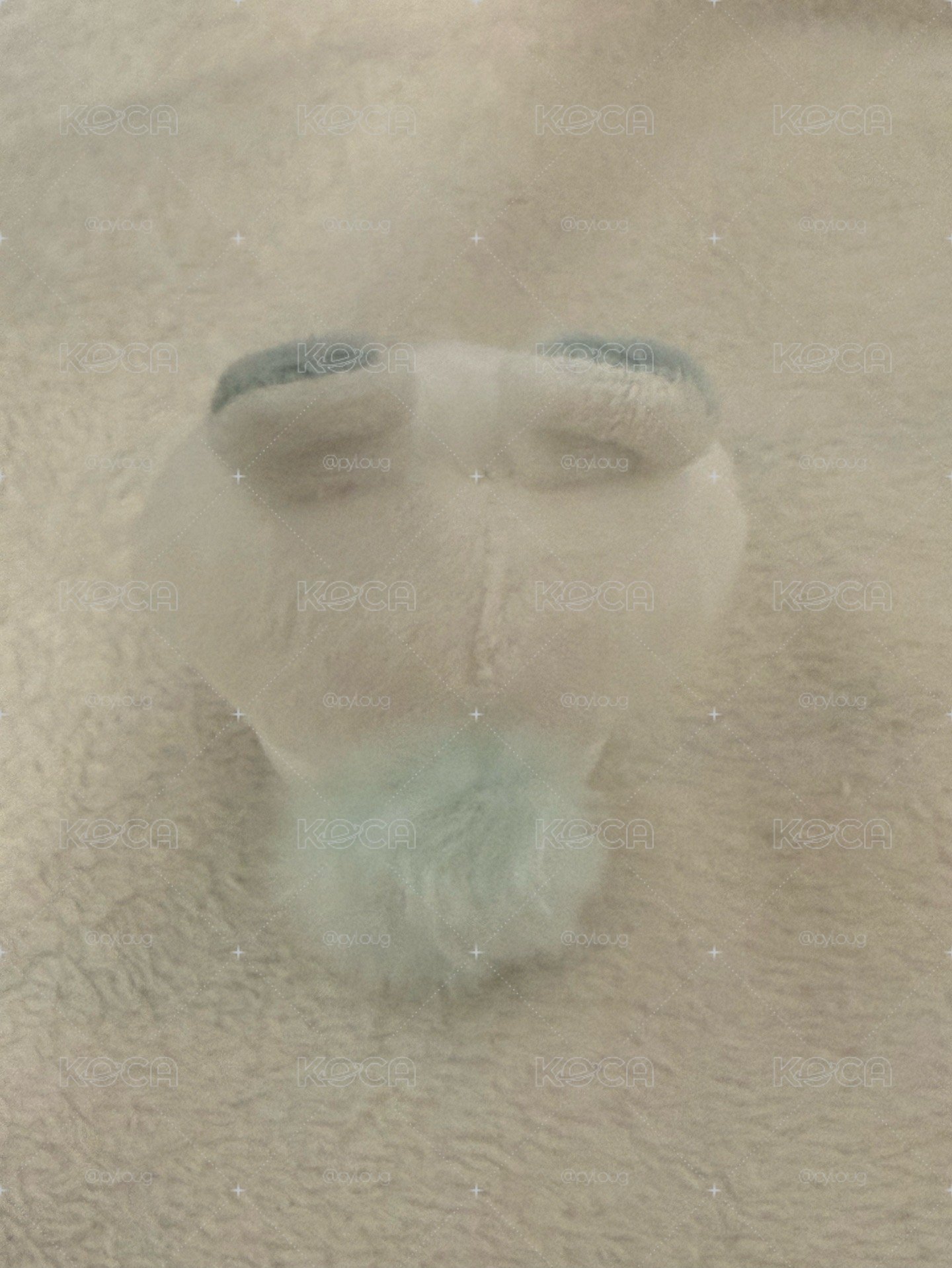 小桃扭蛋娃 110/1
