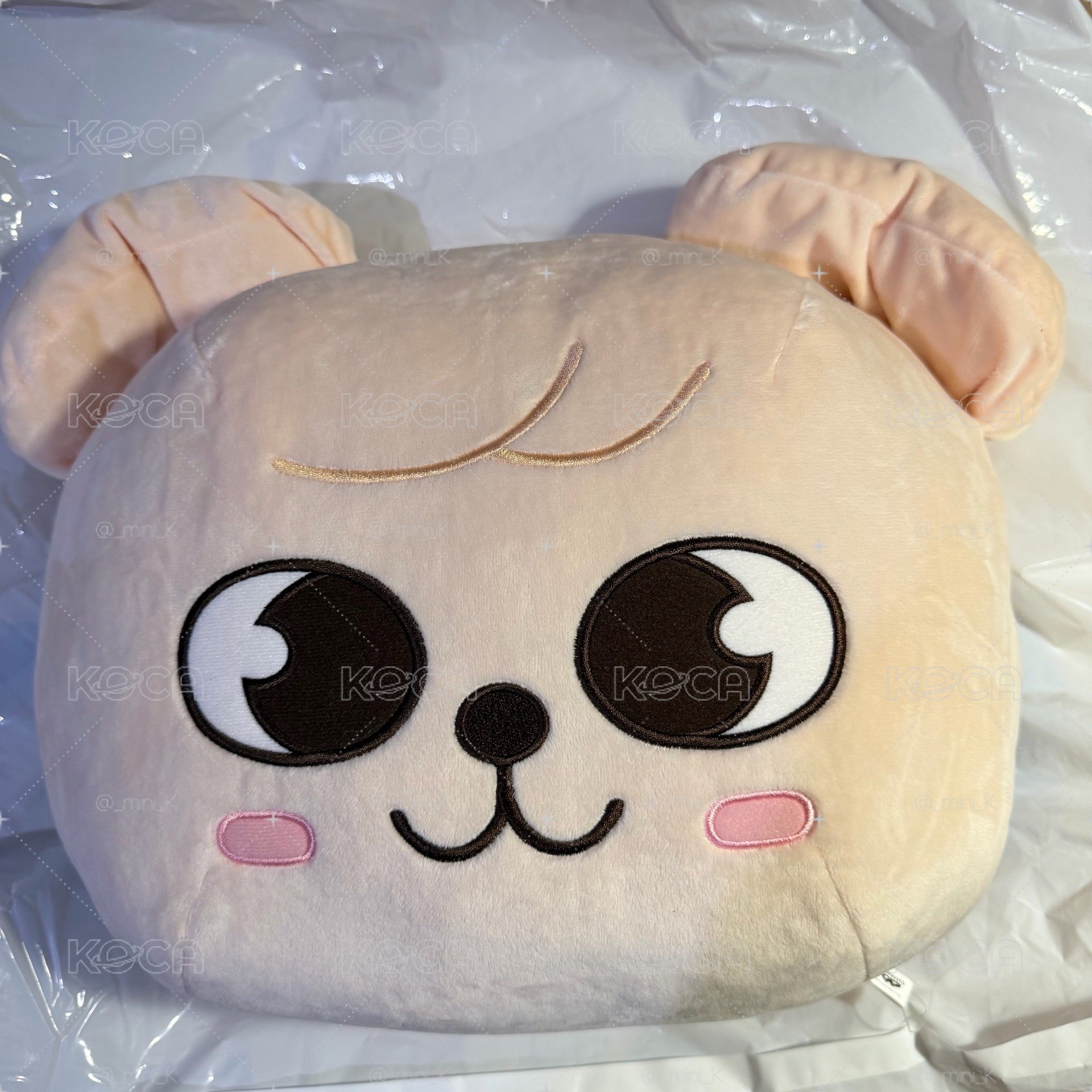 （現貨）GIGO抱枕玟