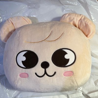 （現貨）GIGO抱枕玟