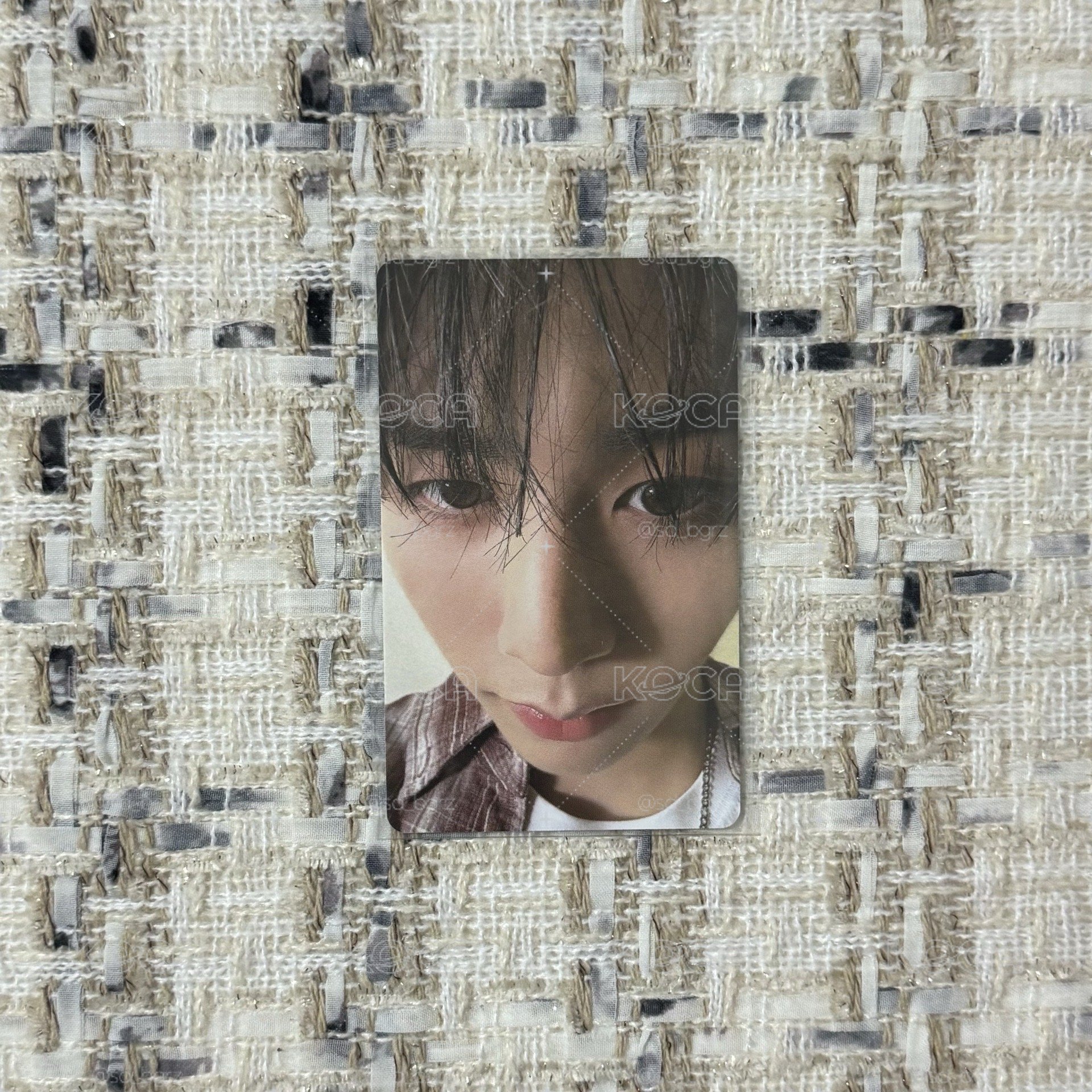 wvs單封特典4