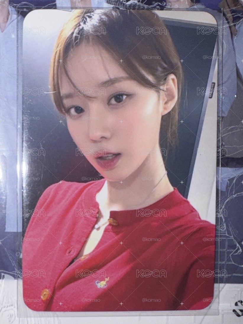金冬甜 笨蛋小狗旺旺