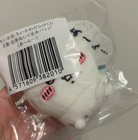 坐姿