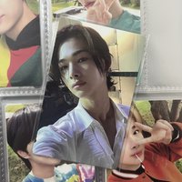 迷四小鴨