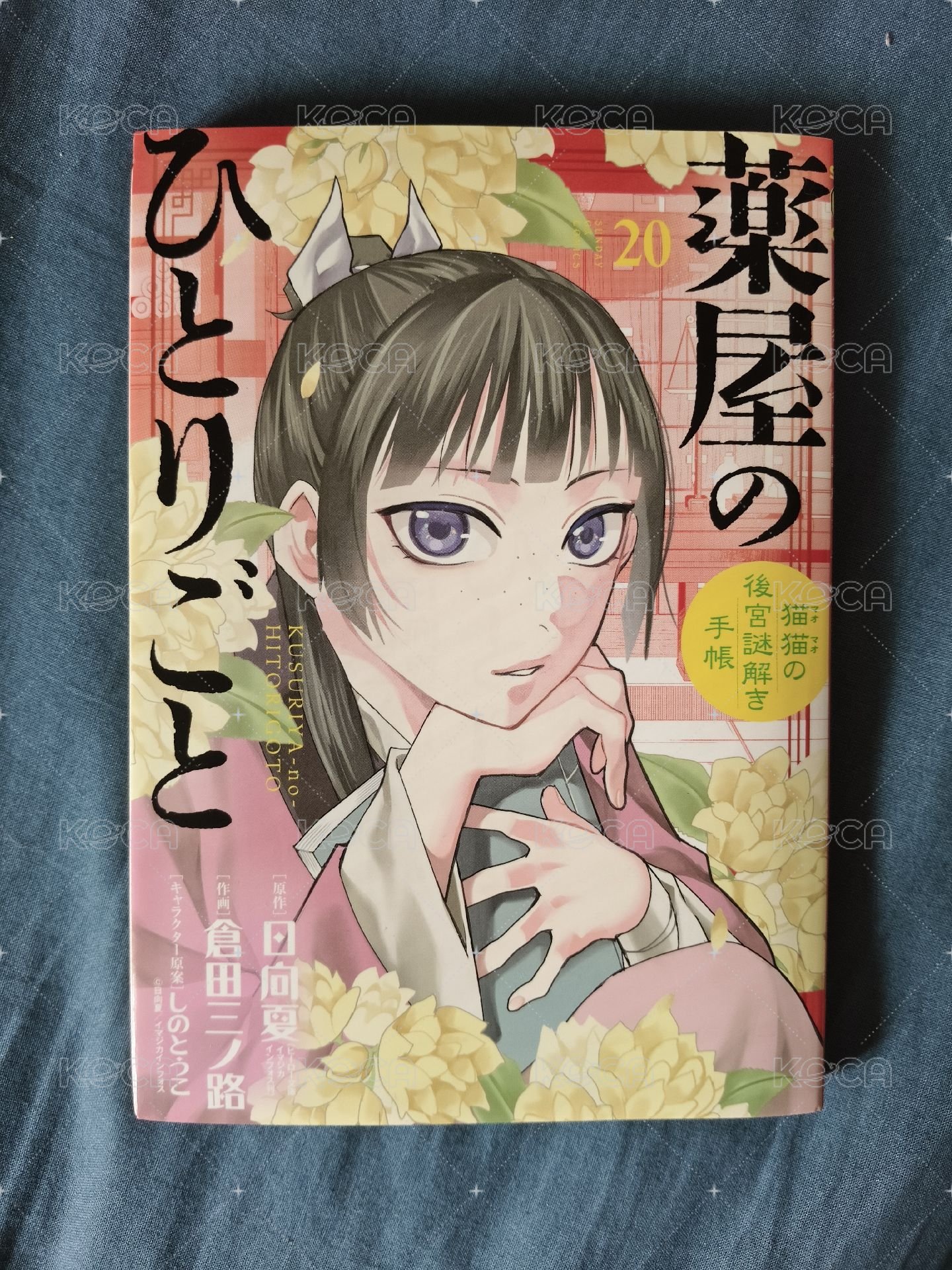漫畫日文第20集 僅拆檢 無特典