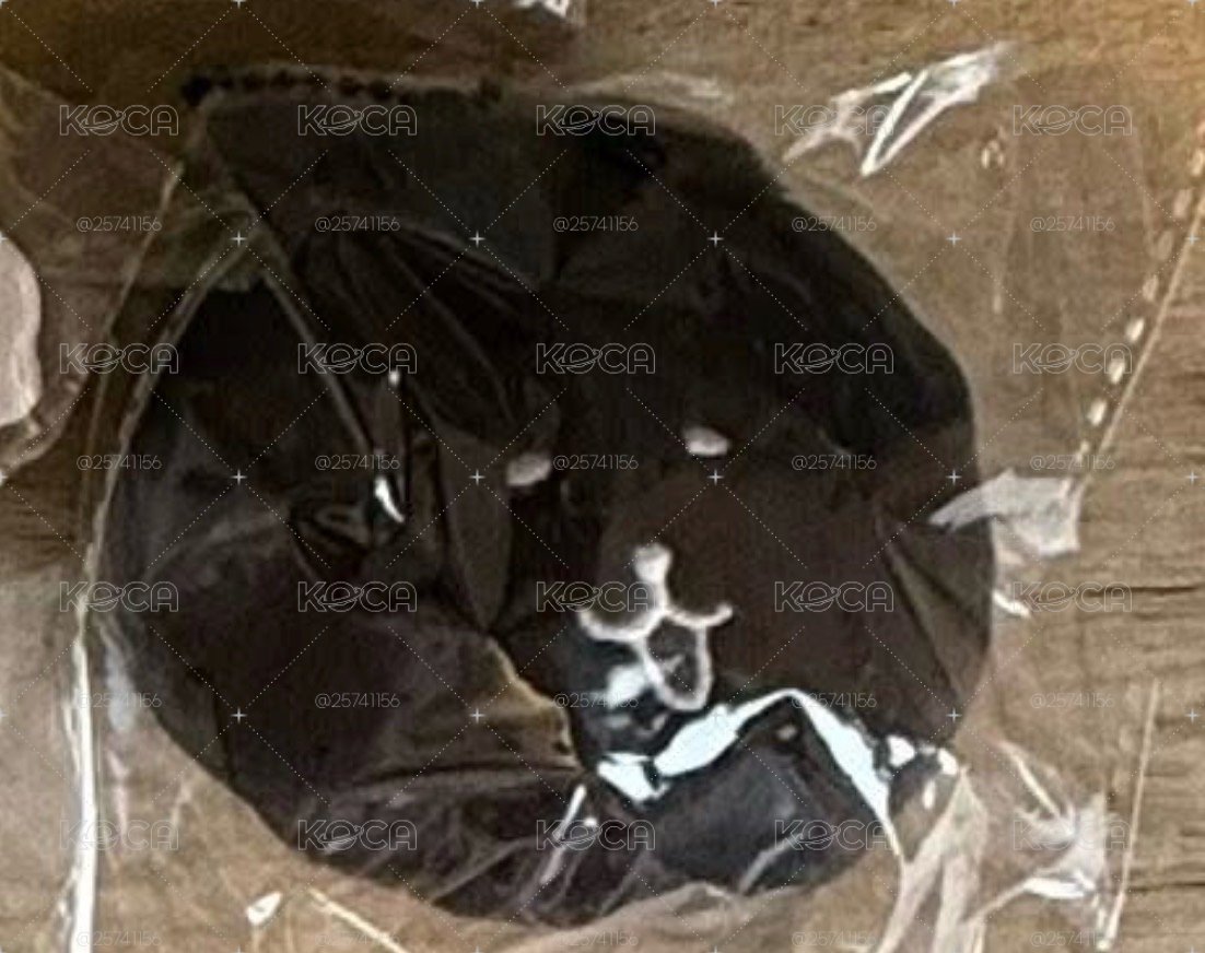 微笑黑熊
