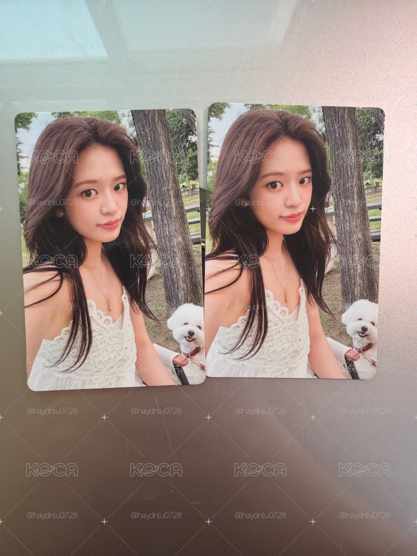現貨當日出貨/REVIVE+ wm 10.0 簽售卡 狗狗安🐶