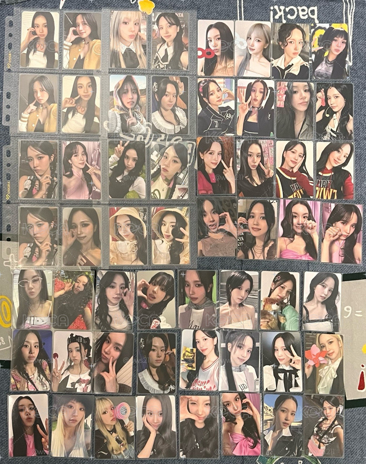 米彩盤🐧🐯
