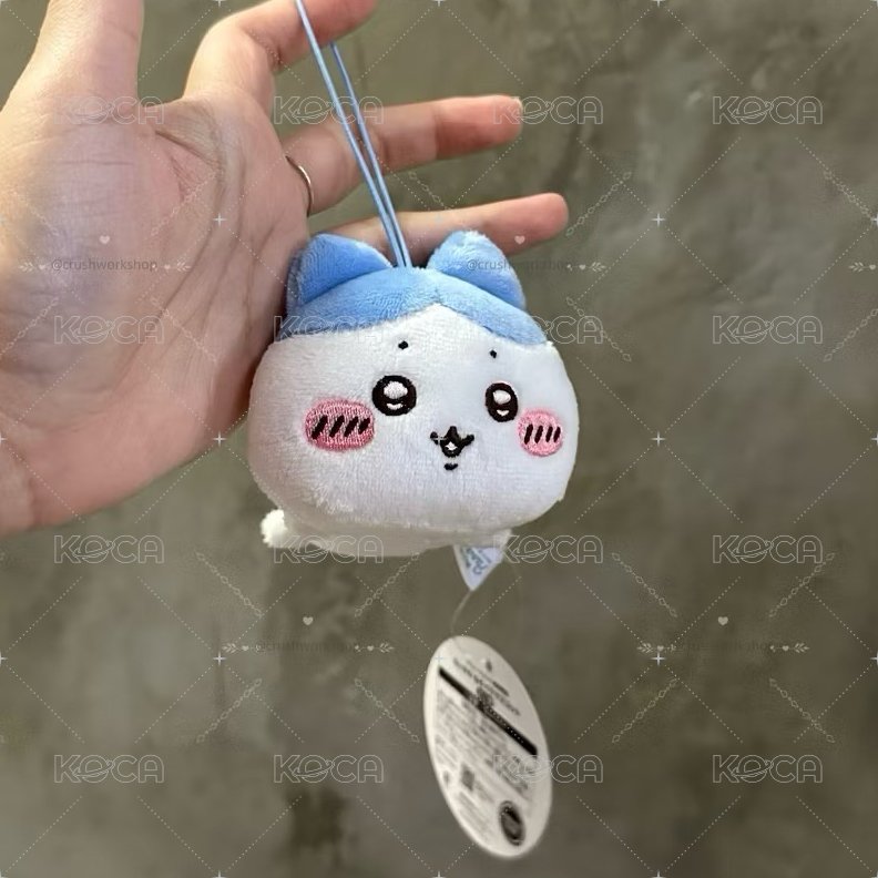 小八